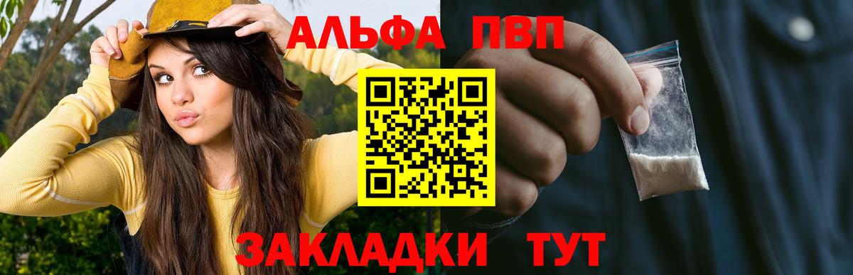 Alfa_PVP СК Чайковский